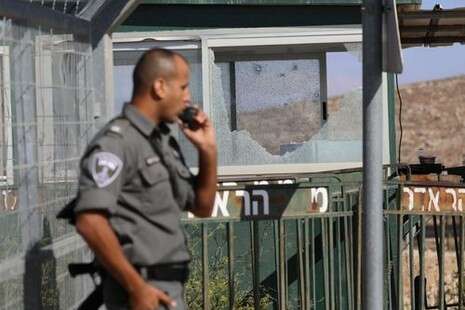 צילום: יונתן זינדל, פלאש 90 צילום: יונתן זינדל, פלאש 90