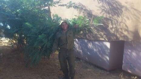 צילום: הלל שחור צילום: הלל שחור