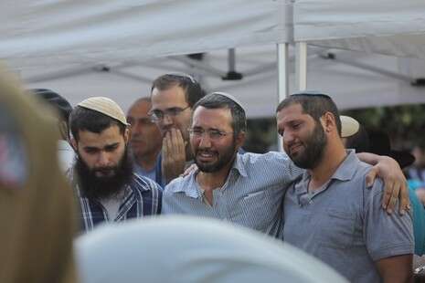 צילום: מרים אלסטר, פלאש 90 צילום: מרים אלסטר, פלאש 90