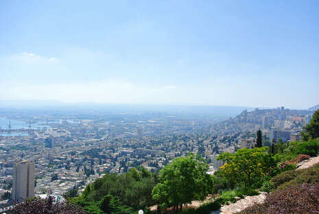 צילום: shutterstock צילום: shutterstock