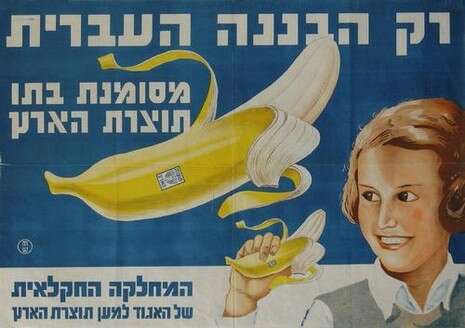 עיצוב: אוטה וליש עיצוב: אוטה וליש