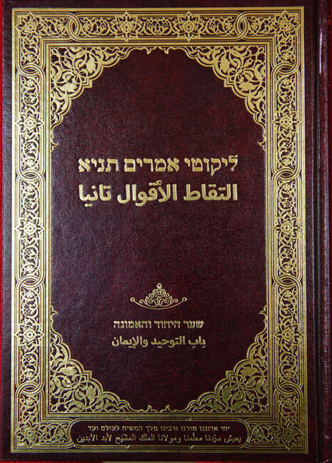 צילום: אנצ'ו ג'וש/ ג'יני צילום: אנצ'ו ג'וש/ ג'יני