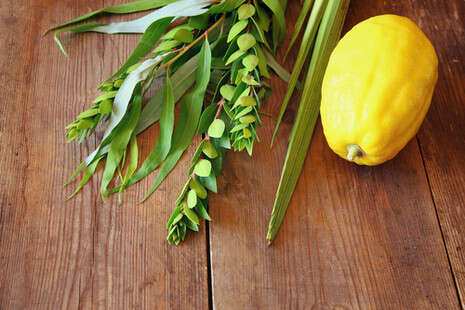 צילום: shutterstock צילום: shutterstock