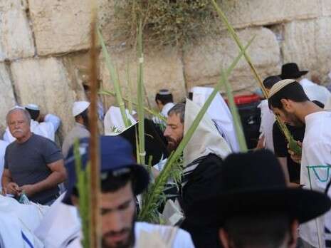 צילום: יונתן זינדל, פלאש 90 צילום: יונתן זינדל, פלאש 90