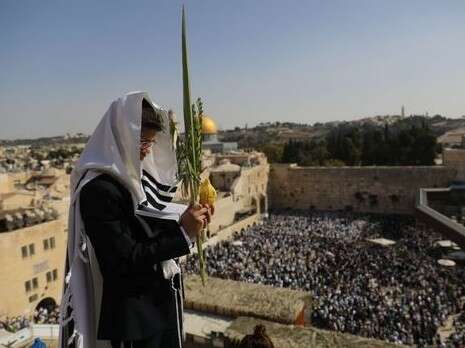 צילום: יונתן זינדל, פלאש 90 צילום: יונתן זינדל, פלאש 90