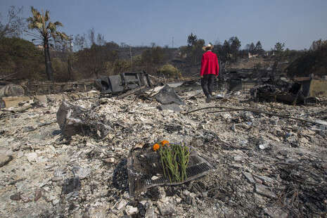 צילום: Getty Images North America צילום: Getty Images North America