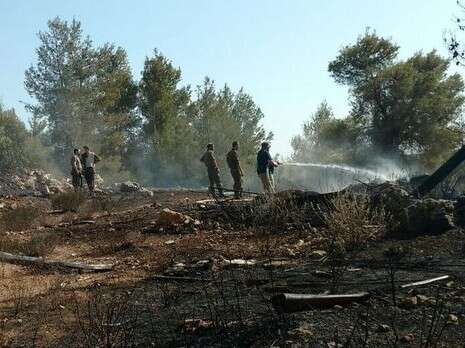 צילום: נווה גלעדי צילום: נווה גלעדי