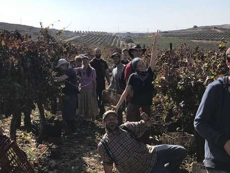 צילום: אריאל כהנא צילום: אריאל כהנא