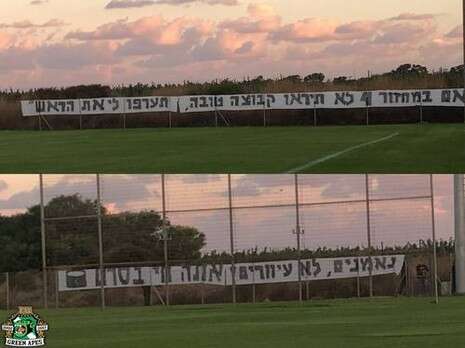 צילום: דף הפייסבוק של הקופים הירוקים צילום: דף הפייסבוק של הקופים הירוקים