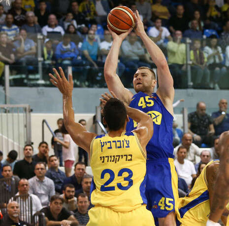 צילום: דני מרון צילום: דני מרון
