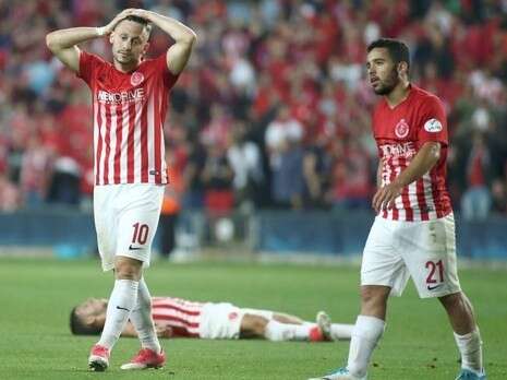צילום: אלן שיבר צילום: אלן שיבר