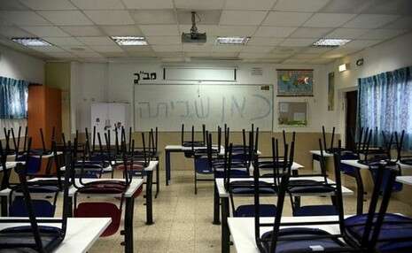 צילום: דודו גרינשפן צילום: דודו גרינשפן