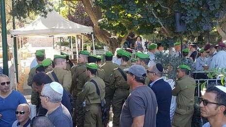 צילום: יהודה שלזינגר צילום: יהודה שלזינגר