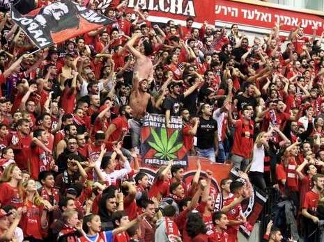 צילום: אלן שיבר צילום: אלן שיבר