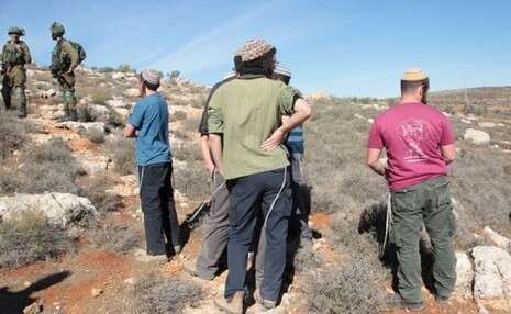 צילום: הילל מאיר, TPS צילום: הילל מאיר, TPS
