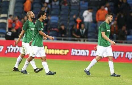 צילום: אלן שיבר צילום: אלן שיבר