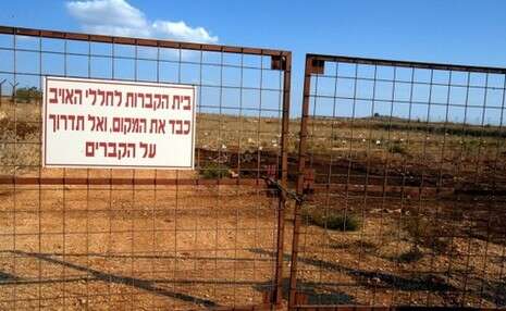 צילום: דרור ארצי, ג'יני צילום: דרור ארצי, ג'יני