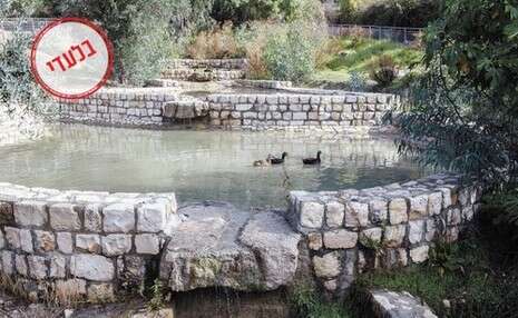 צילום: אייל מרגולין צילום: אייל מרגולין