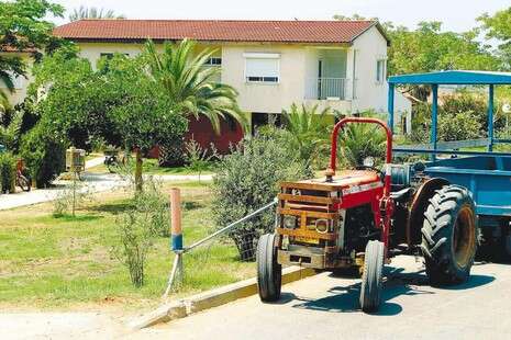 ברקאי וולפסון ברקאי וולפסון