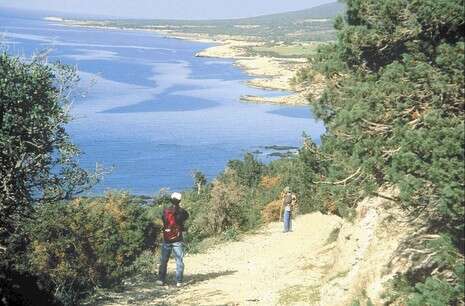 ����� ������