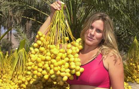 ����� ������: ���� ��� 