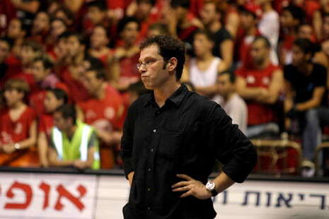צילום: אלן שיבר צילום: אלן שיבר