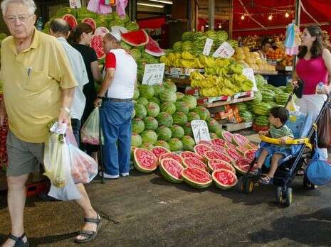 ������ ����