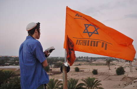 צילומים: ראובן קסטרו צילומים: ראובן קסטרו