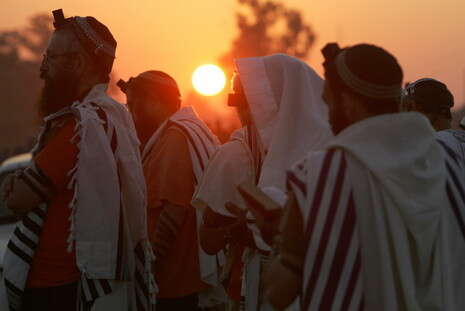רויטרס רויטרס