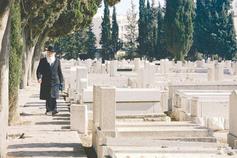 פלאש 90 פלאש 90