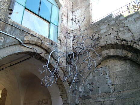 מיכל הניג מיכל הניג