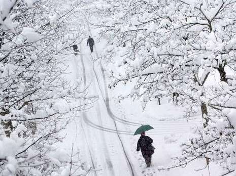 �����: ������