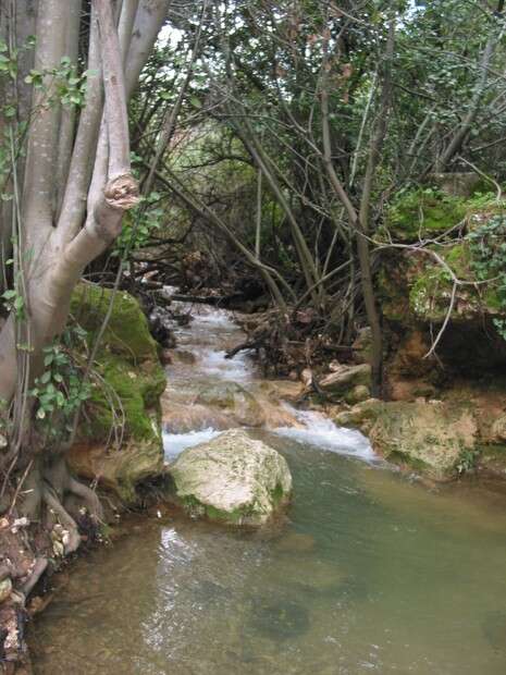 צילום: יחסי ציבור צילום: יחסי ציבור