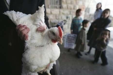רויטרס רויטרס