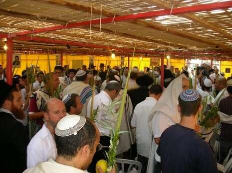 �����: ��''�