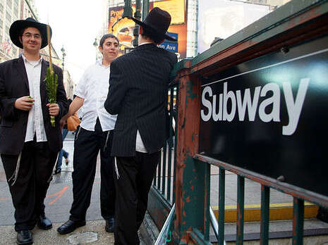 ישראל ברדוגו ישראל ברדוגו