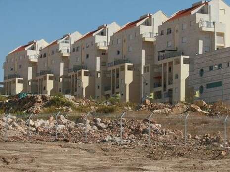 ��� ����