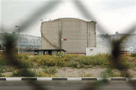 צילום: ראובן קסטרו צילום: ראובן קסטרו