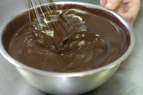 צילום: מיכל רביבו צילום: מיכל רביבו