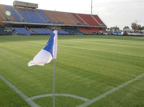 צילום: רועי נגרי צילום: רועי נגרי