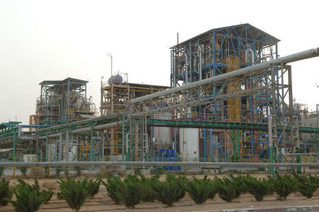 �����: ���� �����