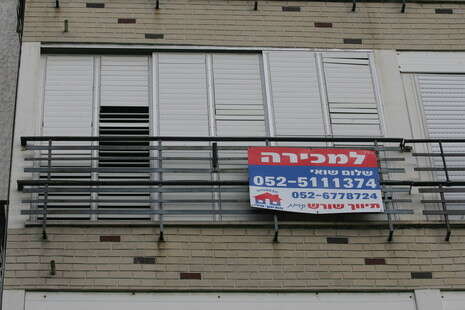 ���� ���������