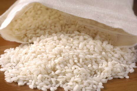 צילום: מיכל רביבו צילום: מיכל רביבו