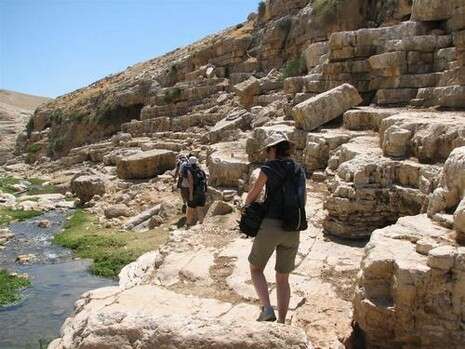 צילום: תומר נויהאוזר צילום: תומר נויהאוזר