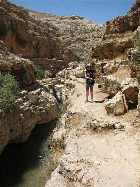 ���� ��������