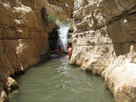 ���� ��������