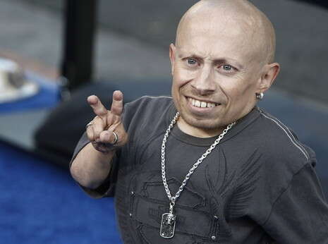 צילום: אי-פי צילום: אי-פי