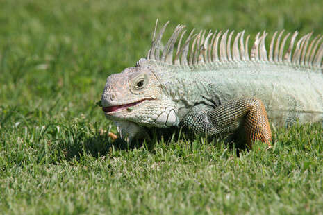 �����: ���� ����