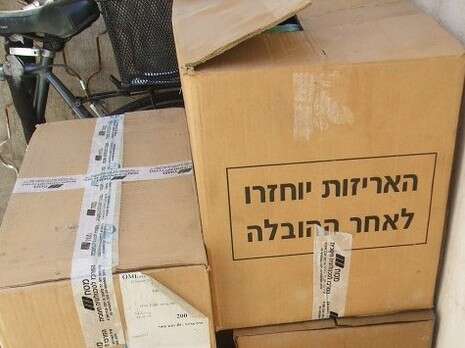 רקפת מולדר רקפת מולדר