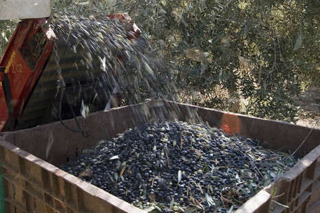 צילום: יחסי ציבור צילום: יחסי ציבור